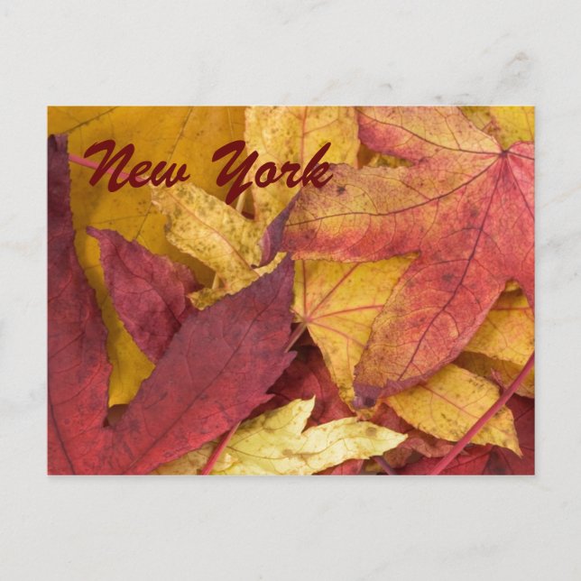 New York höstlöv vykort (Framsida)