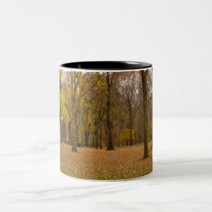 New York koppCentral Park New York mugg