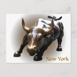 New York Postcard Bull Statue NYC Souvenir Card Vykort