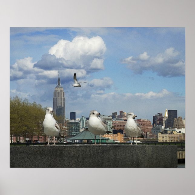 New York Skyline med Fiskmås Poster (Framsidan)