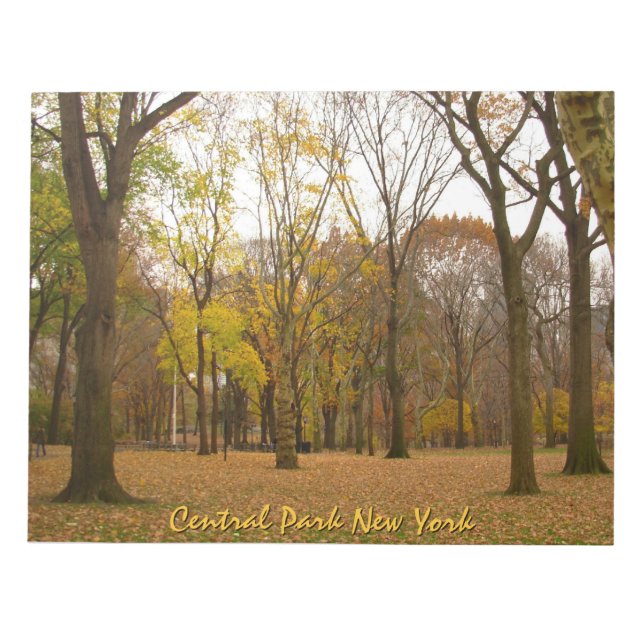 New York Souvenir Anteckningsblock Central Park NY (Framsida)