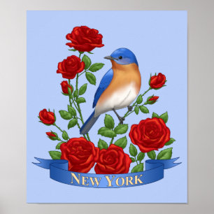 New York State Bird and Flower Poster