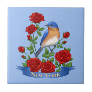 New York State Bird & Flower - Bluebird & Röd ros Kakelplatta