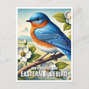 New York State Bird Östra Bluebird Vykort