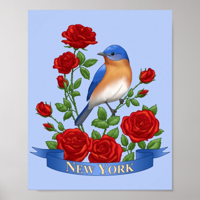 New York State Fågel och blomma Poster (Framsidan)