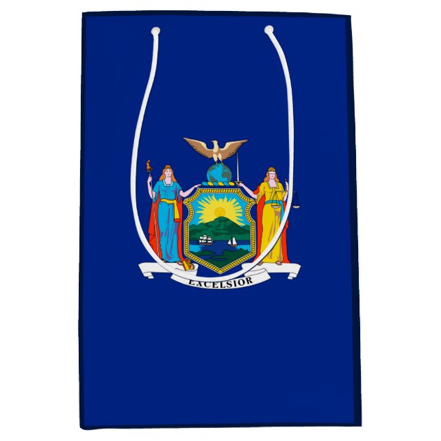New York Statlig flagga Design (Framsidan)