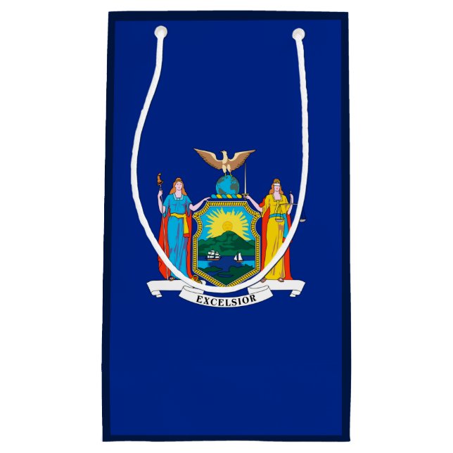 New York Statlig flagga Design (Framsidan)