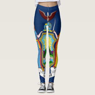 New York Statlig flagga Leggings