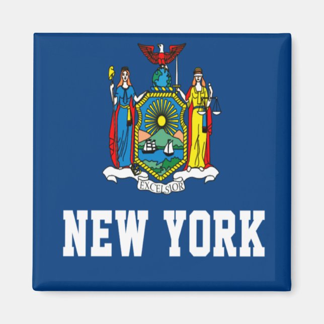 New York Statlig flagga Magnet (Framsidan)