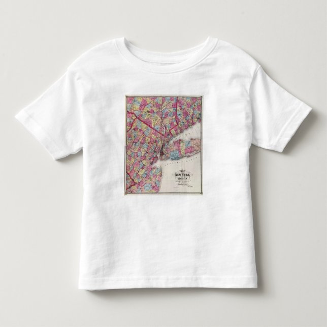 New York & vicinity T Shirt (Framsida)