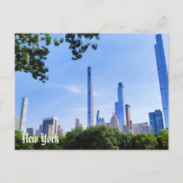 New York View Postcard Central Park & Brooklyn Vykort