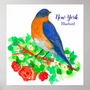New York Watercolor Bluebird Poster