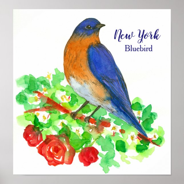 New York Watercolor Bluebird Poster (Framsidan)