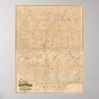 New York Wilderness. 1879 Karta. Poster