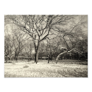 New York Winter - byn Öster Snö Fototryck