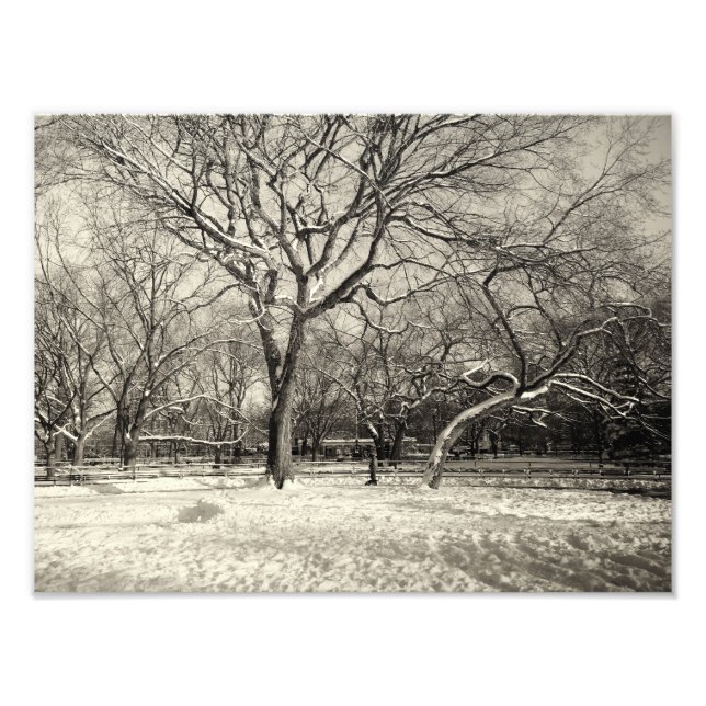 New York Winter - byn Öster Snö Fototryck (Framsidan)
