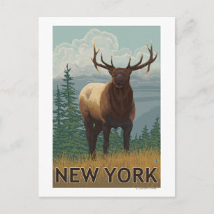 New Yorkälg scen Vykort