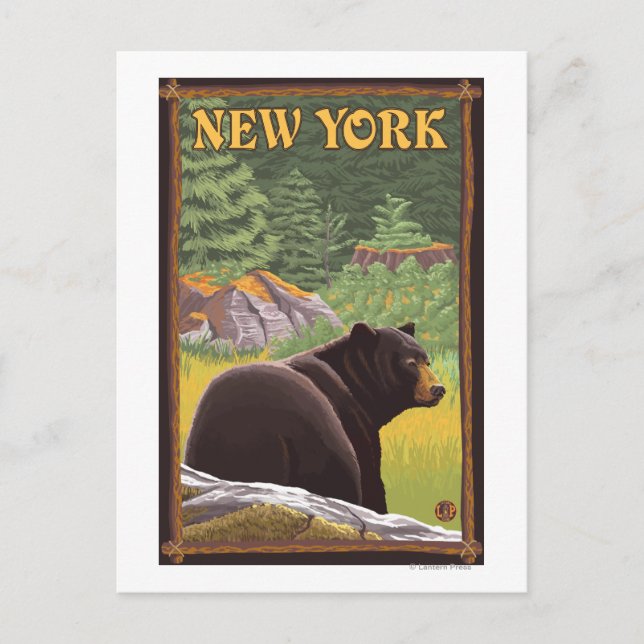 New YorkBlack Bear i Forest Vykort (Framsida)