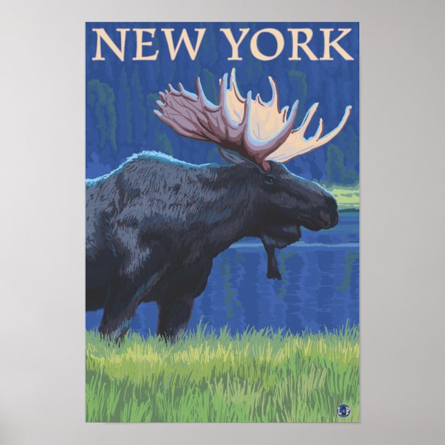New YorkMoose i Moonlight Poster (Framsidan)