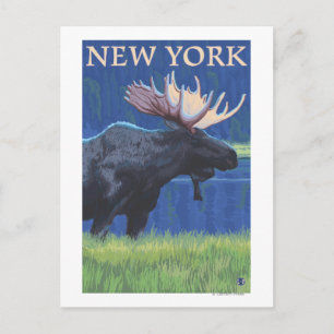 New YorkMoose i Moonlight Vykort