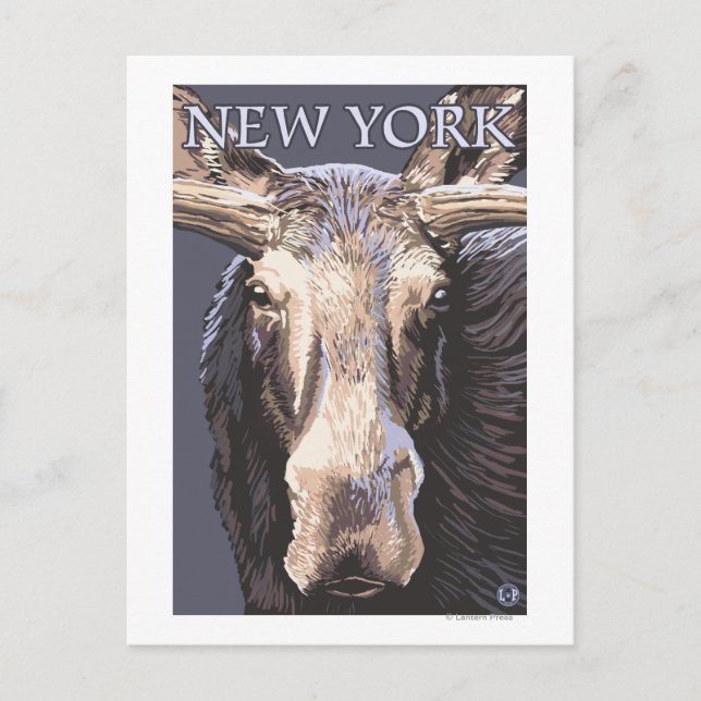 New YorkMoose på nära håll Vykort (Framsida)