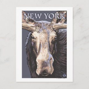 New YorkMoose på nära håll Vykort