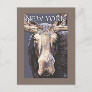 New YorkMoose Up Close Vykort