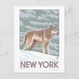 New YorkWolf Scene Vykort