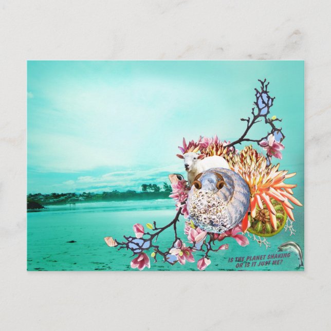 New Zealand collage Vykort (Framsida)