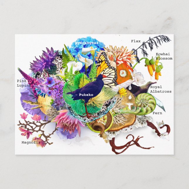 New Zealand collage Vykort (Framsida)