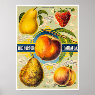 New Zealand Fruit Print Poster