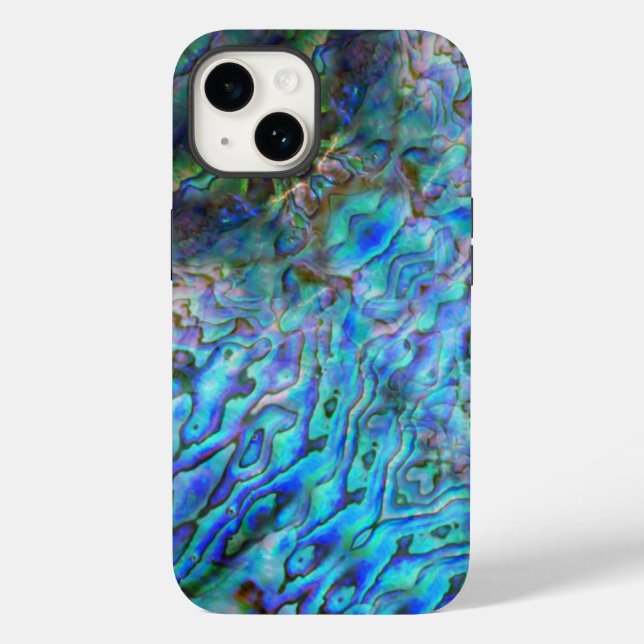 NEW ZEALAND KIWI PAUA (Baksida)