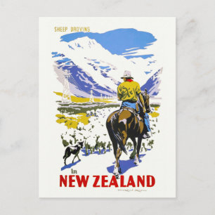 New Zealand Sheep Droving Vintage affisch 1930 s Vykort