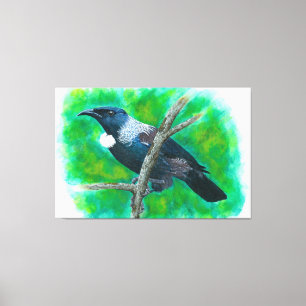 New Zealand Tui - Painting in acrylic Canvastryck