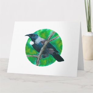 New Zealand Tui - Painting in acrylic Kort