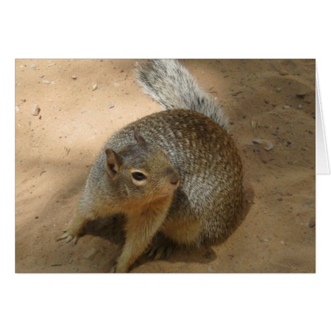 ~New Zion FuZzY GuY~ Hälsningskort (Framsidan Horizontal)