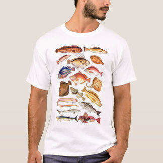 newartsweb - så många fisk, så lite Time T-shirt