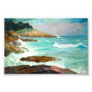 Newell Convers Wyeth syn på Maine Kusten Fototryck