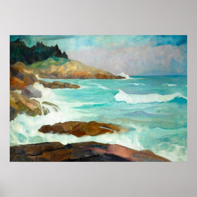 Newell Convers Wyeth syn på Maine Kusten Poster (Framsidan)