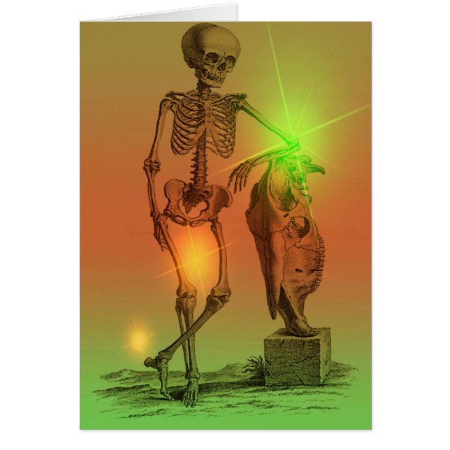 Newf Dude Hälsningskort (Framsidan)