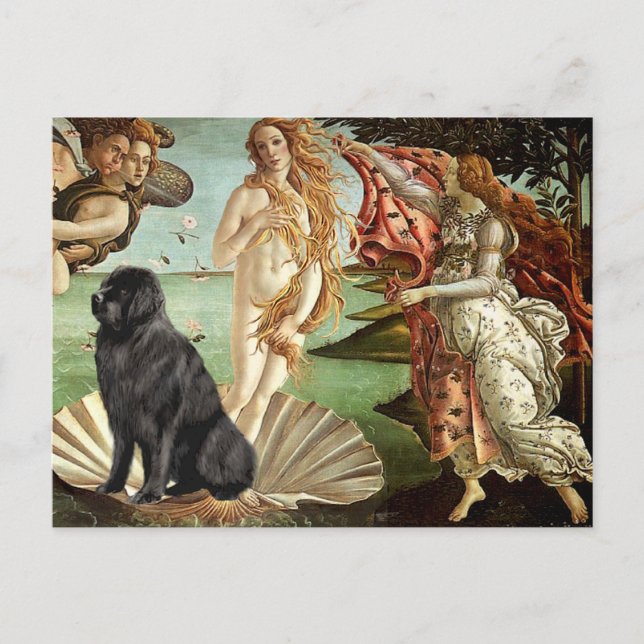 Newfie 1 - Venus födelse Vykort (Framsida)