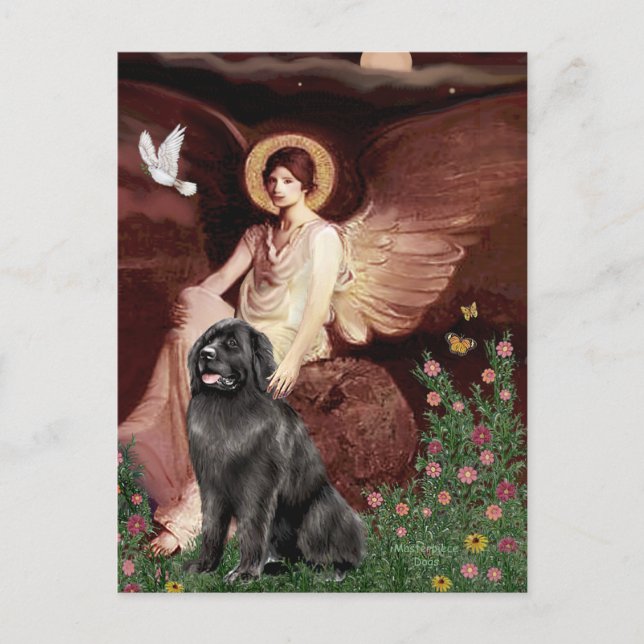 Newfie 2 - Sittande ängel Vykort (Framsida)