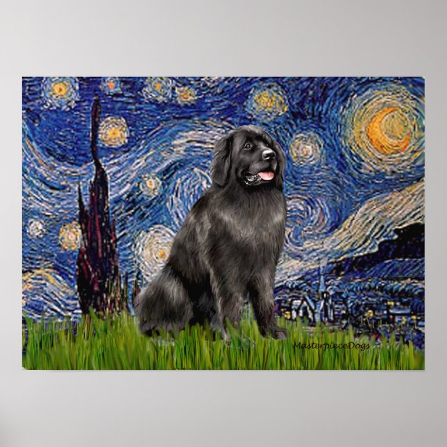 Newfie 2 - Starry Night Poster (Framsidan)
