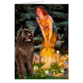 Newfie (brun) - MidEve Hälsningskort