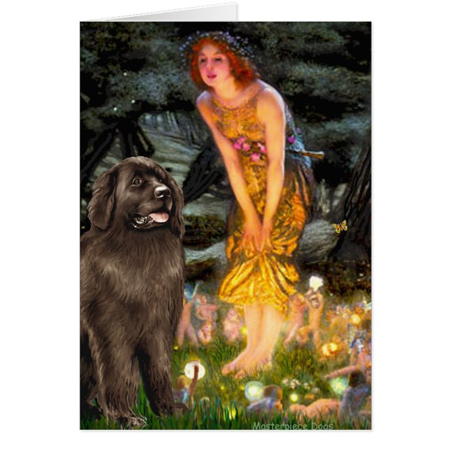 Newfie (brun) - MidEve Hälsningskort (Framsidan)