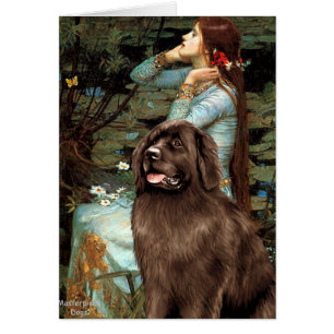 Newfie (brun) - Ophelia-säten Hälsningskort