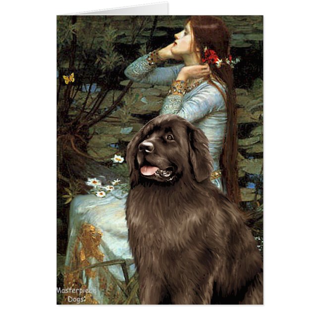 Newfie (brun) - Ophelia sittande Hälsningskort (Framsidan)