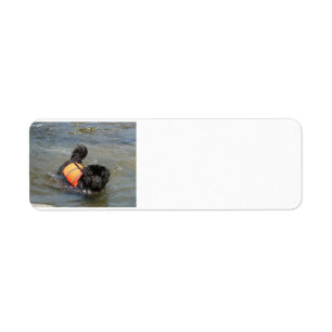 newfie i water.png returadress etikett
