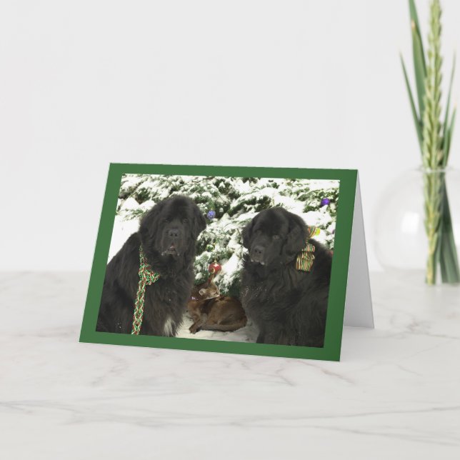 Newfie jul helgkort (Framsida)