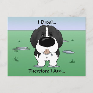 Newfie (Landseer) - I Drool Vykort